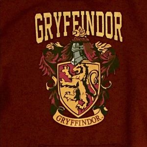 Harry Potter Gryffindor Hooded Sweatshirt